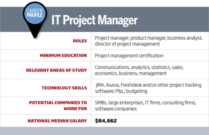 Career roadmap project manager pm managers management chart cio accidental